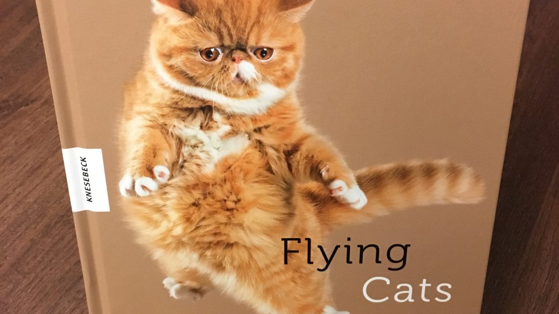 Rezension – Flying Cats
